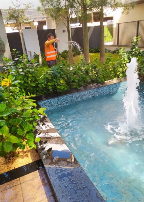 Société de nettoyage Alger