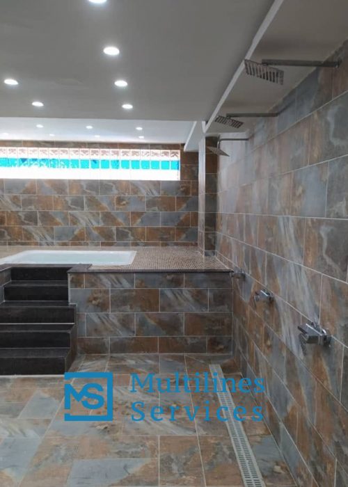 Société de nettoyage Alger