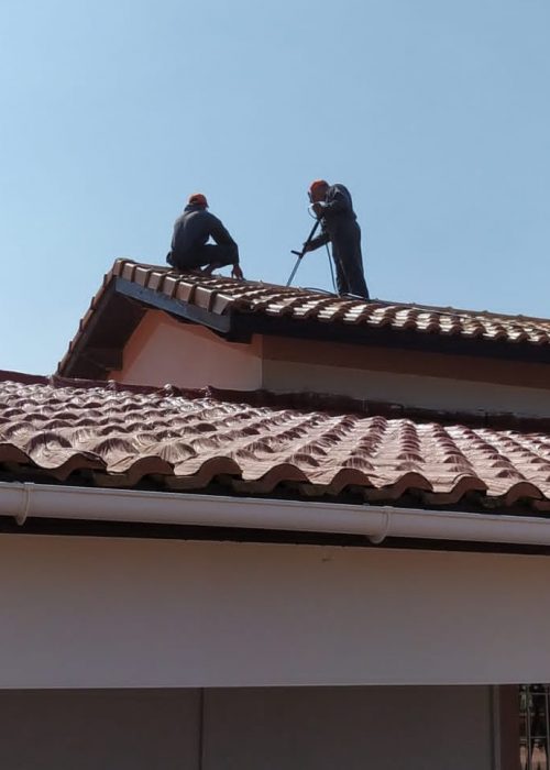 Société de nettoyage Alger