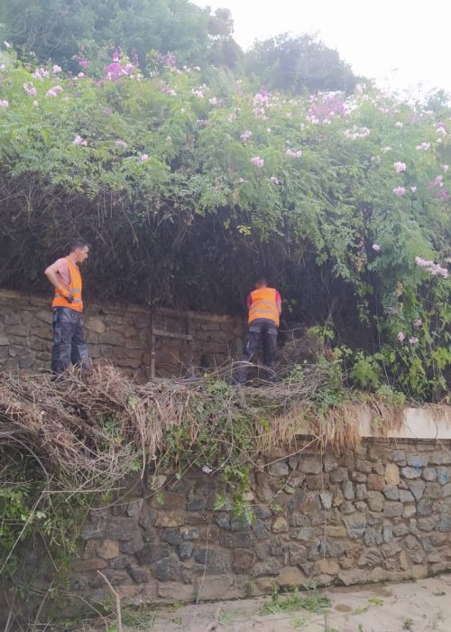 Société de nettoyage Alger