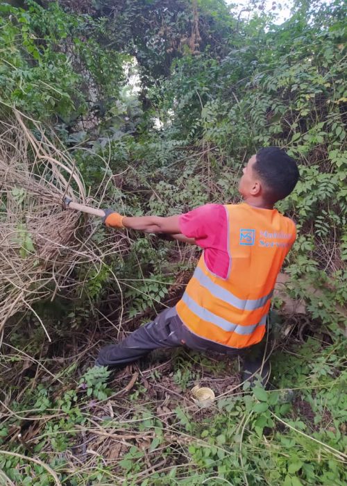 Société de nettoyage Alger